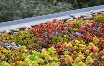 the cost of Mochrum green roof installation