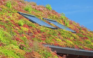 Mochrum living roof systems